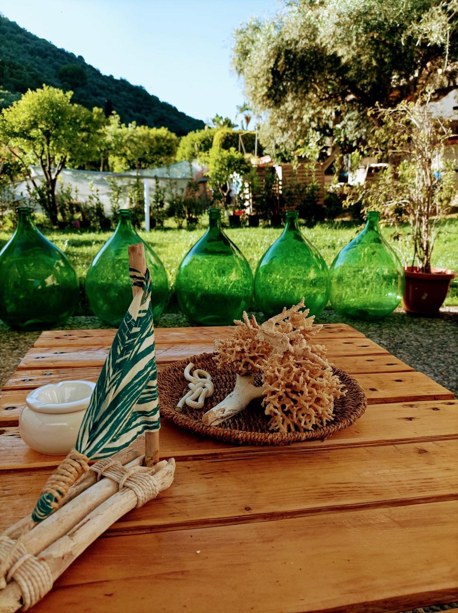 Laris Bed and Breakfast Castellabate Buitenkant foto